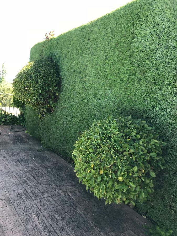 Гостевой дом Jardin De La Yedra Касерес Экстерьер фото